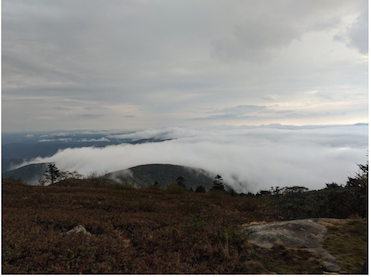 Roan Mountain